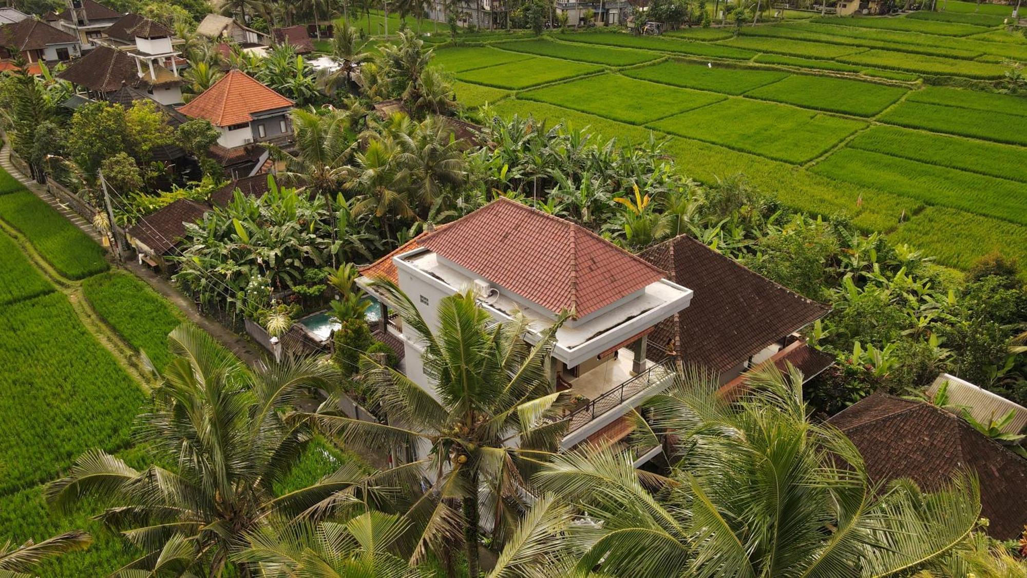 Nirwa 1 Ubud Guesthouse Exterior photo